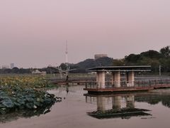 -月湖风景区