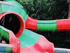 -重庆海昌加勒比海水世界