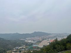 -五村饭店