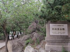 -白水寺森林公园