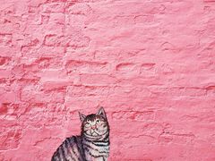 -柴油机1959创意园(IF1959文创园)