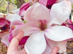 -华润大厦-停车场