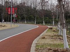 -上海长兴岛郊野公园