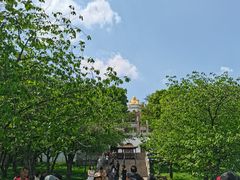 -苏州上方山国家森林公园