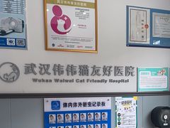 -伟伟宠物医院·瑞派猫友好医院·猫科(光谷店)