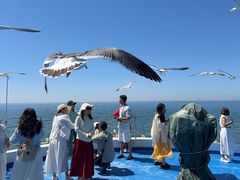 -海驴岛(荣成市)