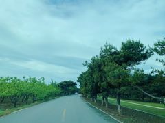 -清东陵