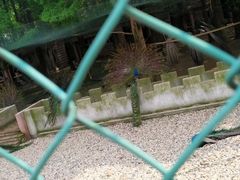 -南京金牛湖风景区