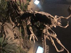-自贡恐龙博物馆