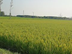 -嘉北郊野公园