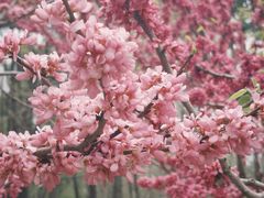 -西北湖绿化广场