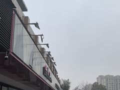 -车艺尚上海龙膜隐形车衣汽车贴膜旗舰店