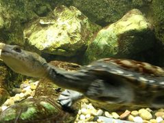 -成都浩海立方海洋公园