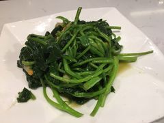 地瓜叶-鹿港小镇(金虹桥国际中心店)