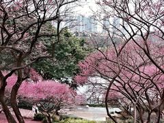-重庆彩云湖湿地公园