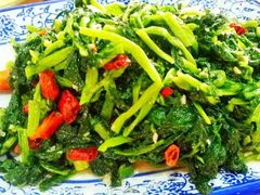 -照金特色农家乐