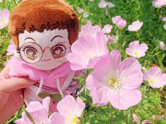 -吴淞炮台湾湿地森林公园烧烤区