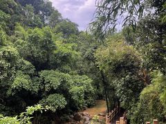 -南海湾森林生态园