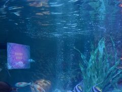 -沈阳海洋探索中心