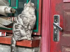 -黑八私房老北京炸酱面