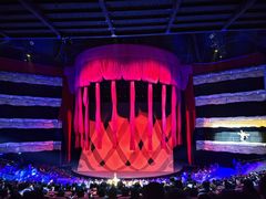 -水秀国际大剧院