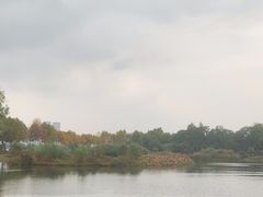 -金银湖国家城市湿地公园