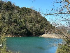 -午潮山国家森林公园