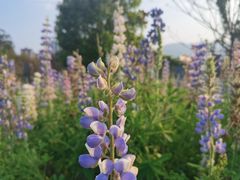 -福州大学(旗山校区)