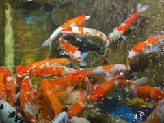 -太平洋海底世界