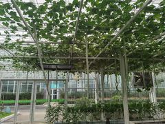 -兰陵国家农业公园