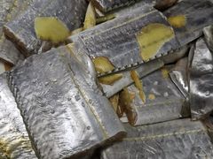 -众彩物流水产市场