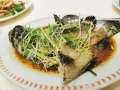 -凤城礼记鱼翅海鲜酒家(新马路总店)