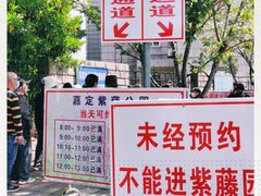 -嘉定紫藤园