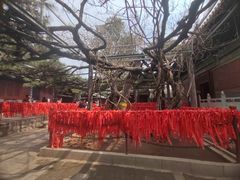 -红螺寺