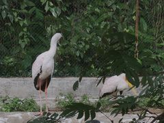 -广州动物园