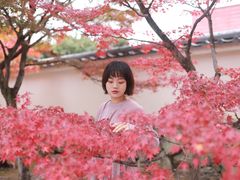 -常寂光寺