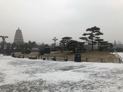 -西安威斯汀大酒店