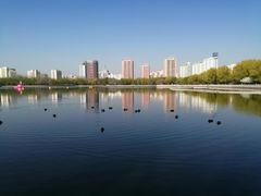 -莲花池公园