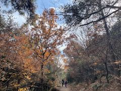 -虞山风景区