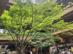 -瑞虹新天地月亮湾