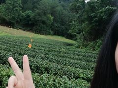 -仙岳公园