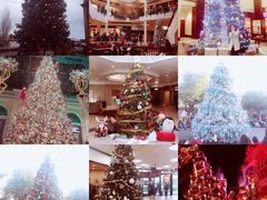 -约翰·菲茨杰拉德·肯尼迪国际机场