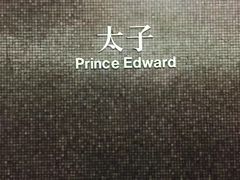-星光大道