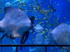 -太平洋海底世界