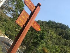 -海南热带雨林国家公园吊罗山景区