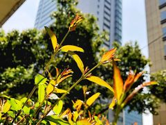 -T-COFFEE(长江花园店)