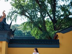 -龙寺生态园