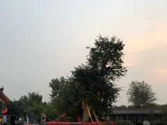 -西安汉城湖景区