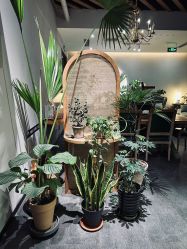 -芳香乐府疗愈空间·SPA·冥想