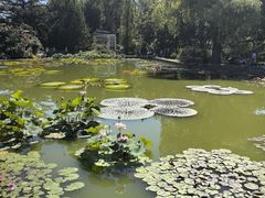 -国家植物园南园